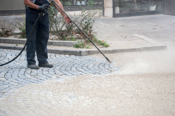 Best Fence Cleaning  in Indialantic, FL